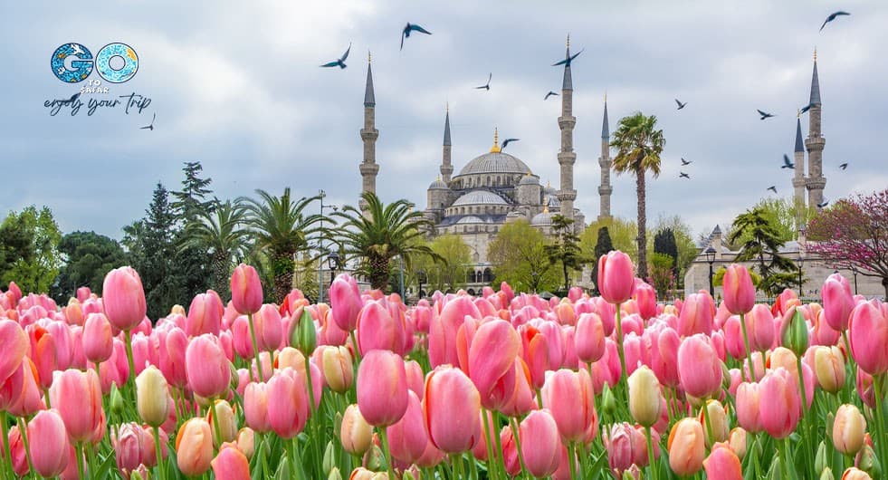 Türkiye'nin En Turistik 15 Şehri